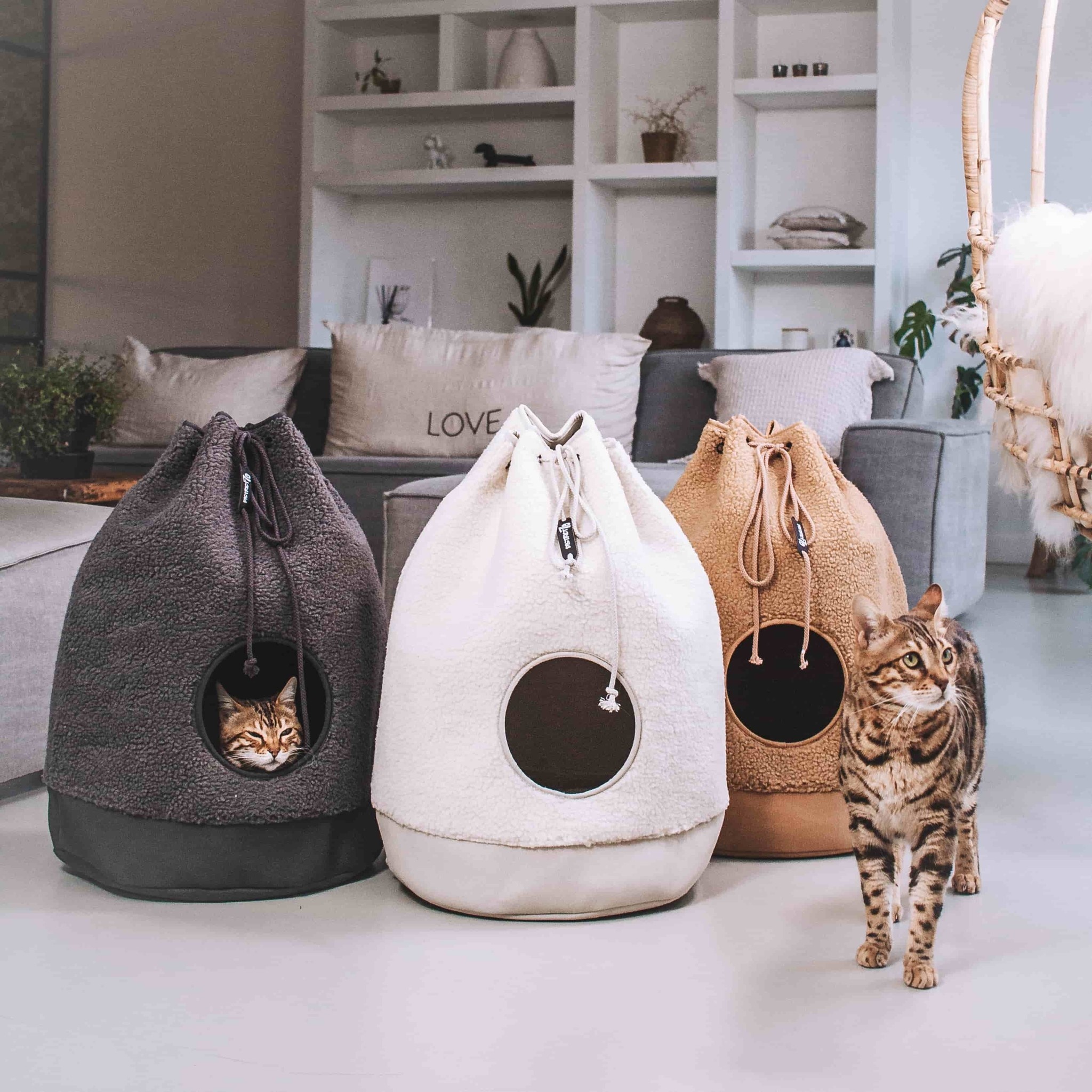 District 70 CASA Teddy Creme