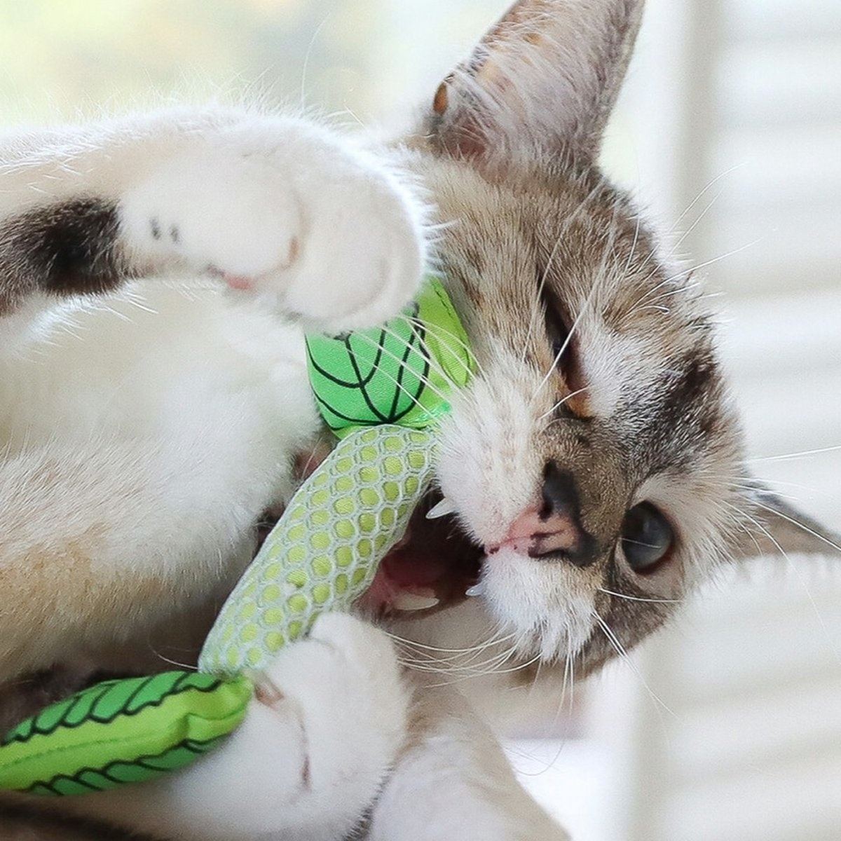 Fresh breath mint stick