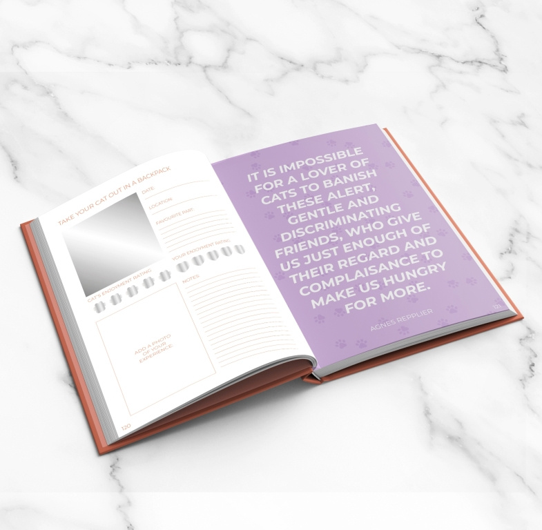 Gift Republic Scratch Book - My Cat Journal