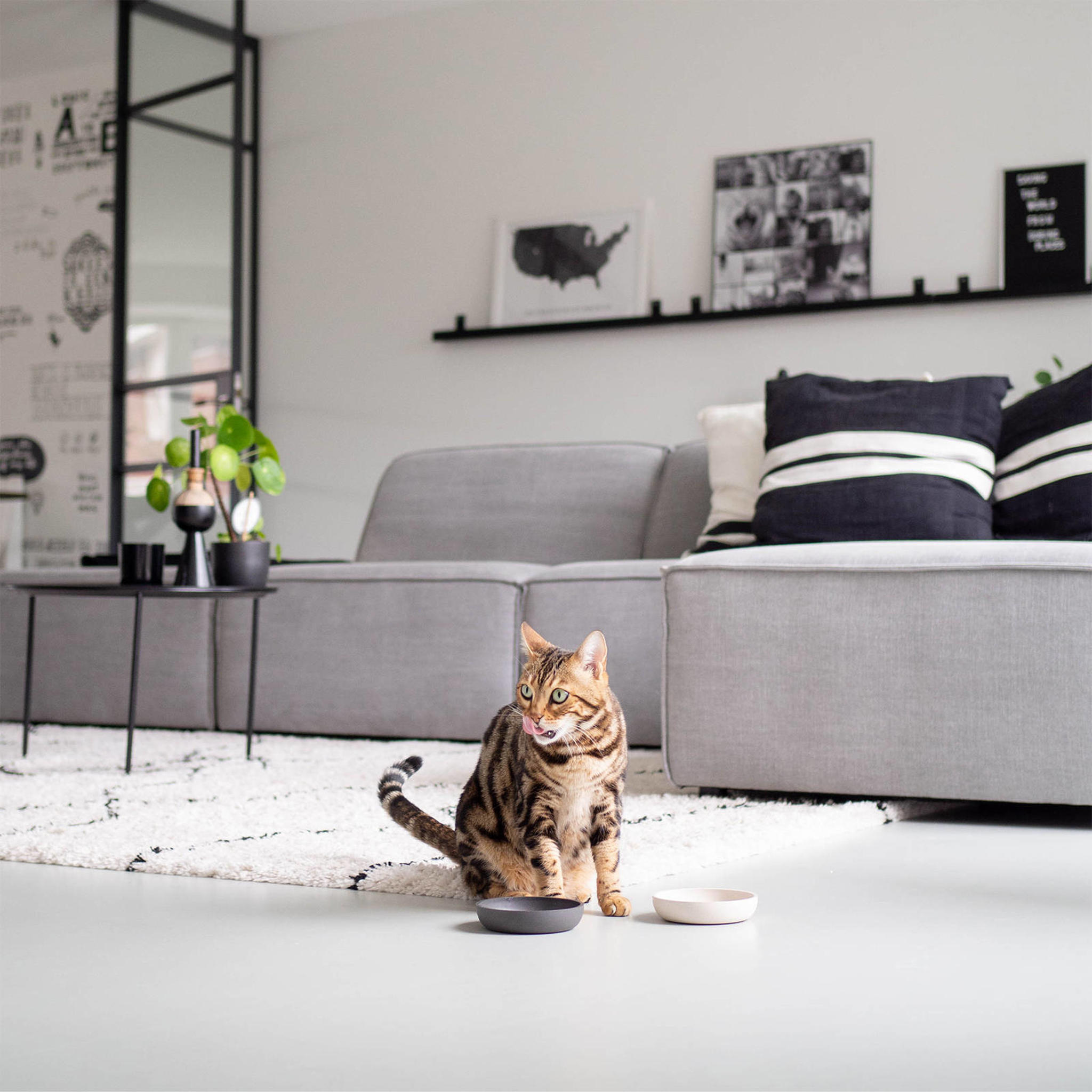 District 70 District 70 - Bamboo Kattenvoerbak IJsblauw Ø12 cm