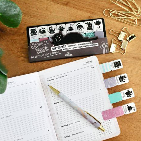 Ed the Cat Ed the cat sticky notes yoga