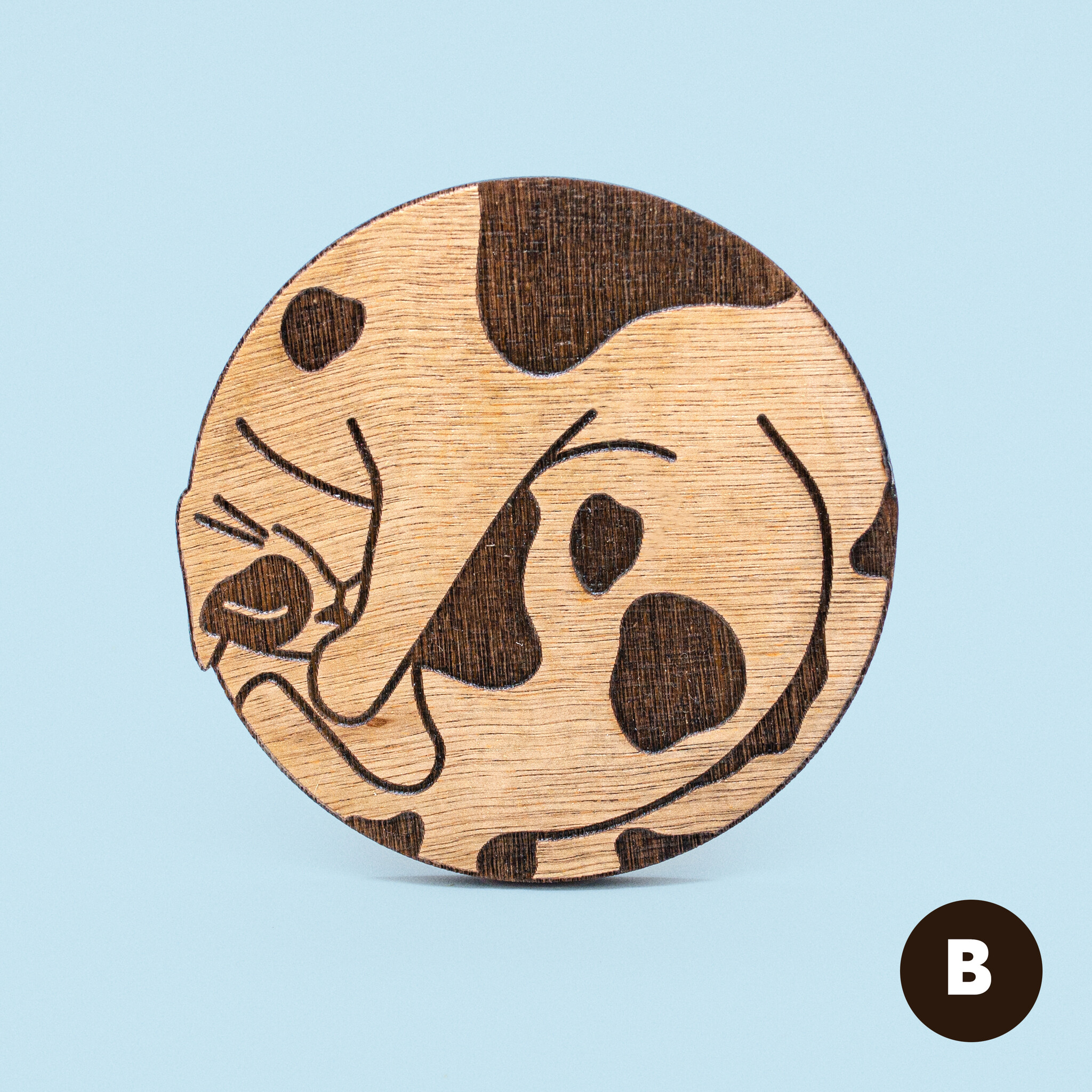 Kat & Kat & onderzetter slapende kat