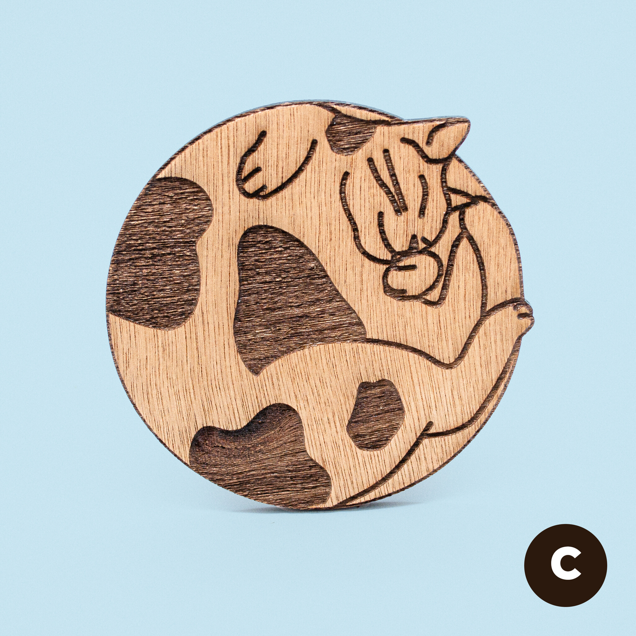 Kat & Kat & onderzetter slapende kat