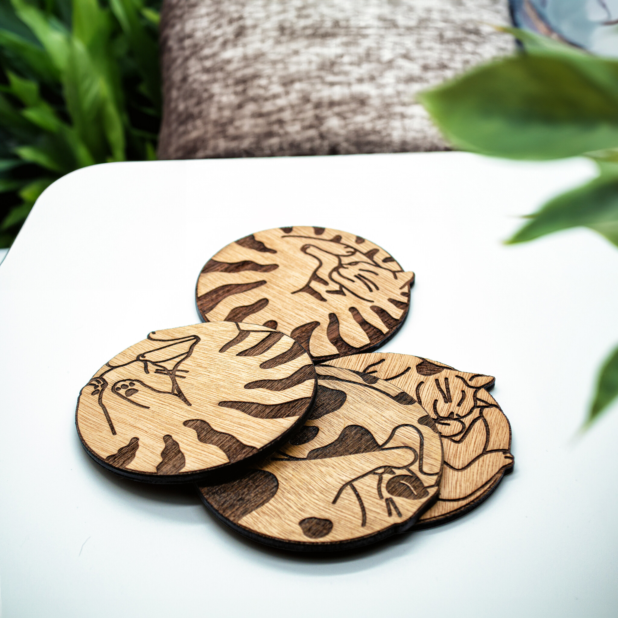 Kat & Kat & onderzetter slapende kat