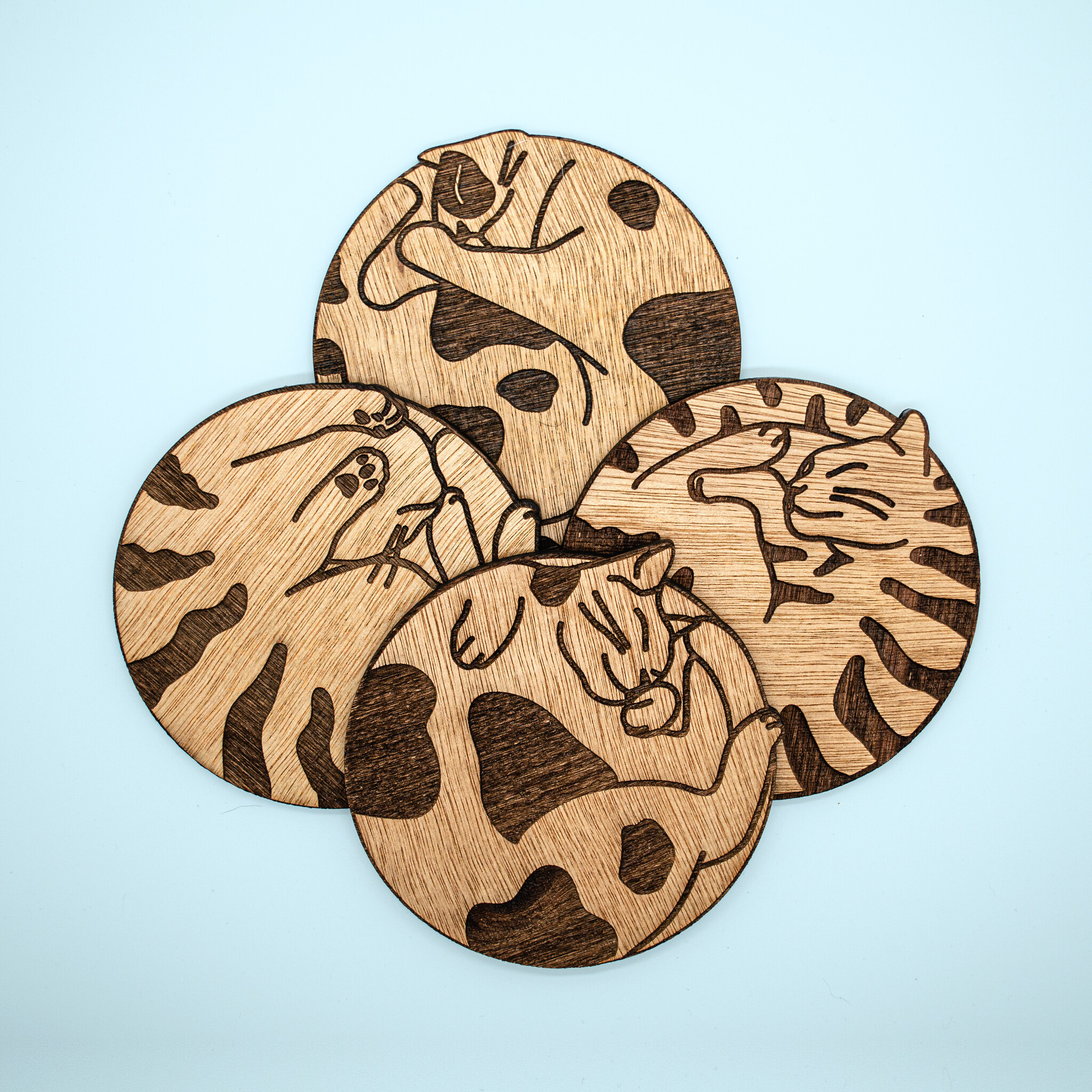 Kat & Kat & onderzetter slapende kat