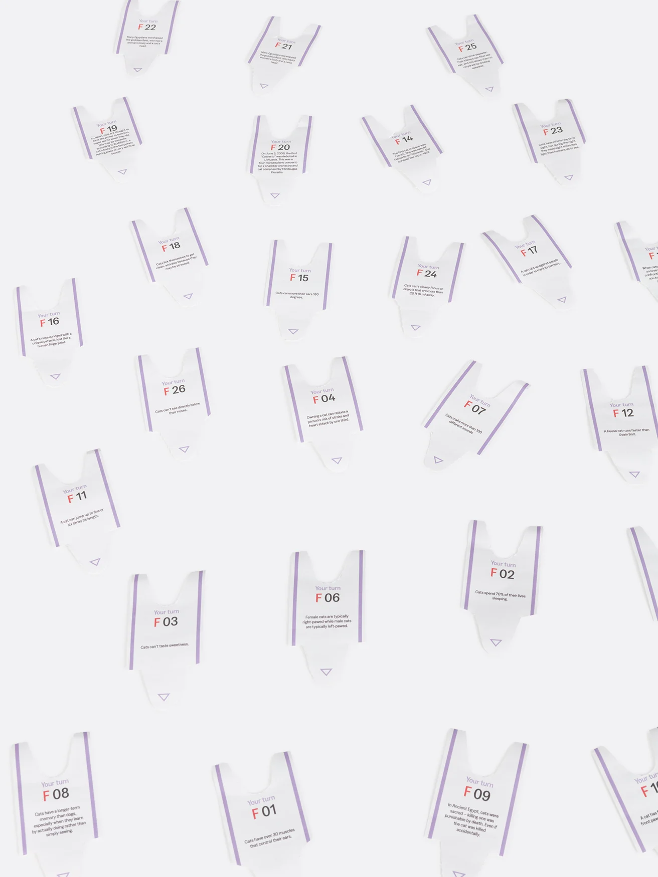 Another Me 100 Curious Cat Facts