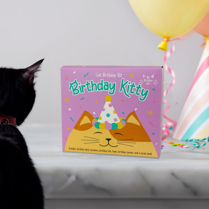 Gift Republic Cat Birthday Kit - Birthday Kitty