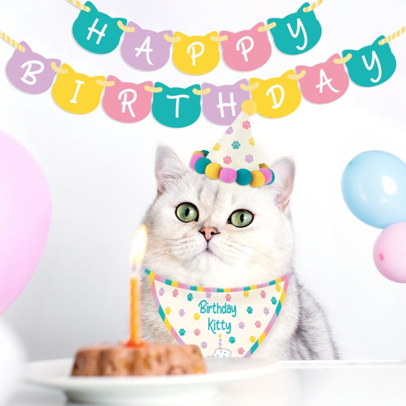 Gift Republic Cat Birthday Kit - Birthday Kitty