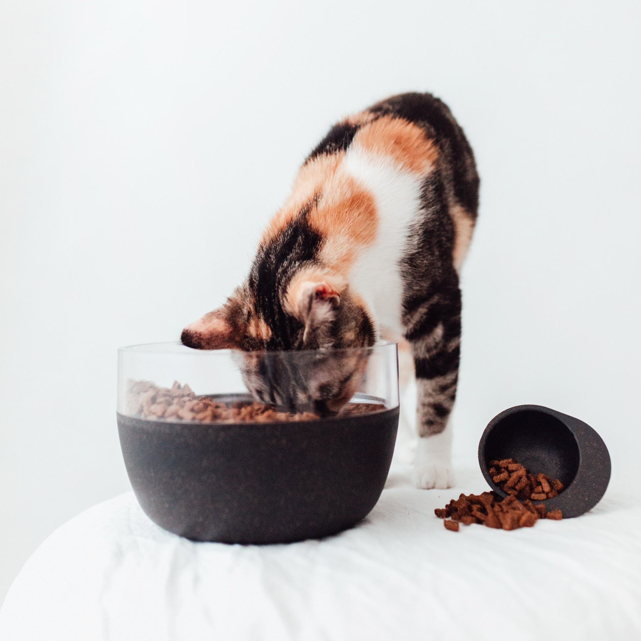 District 70 District 70 - Bamboo voorraadpot 2250 ml IJsblauw  Ø18 cm