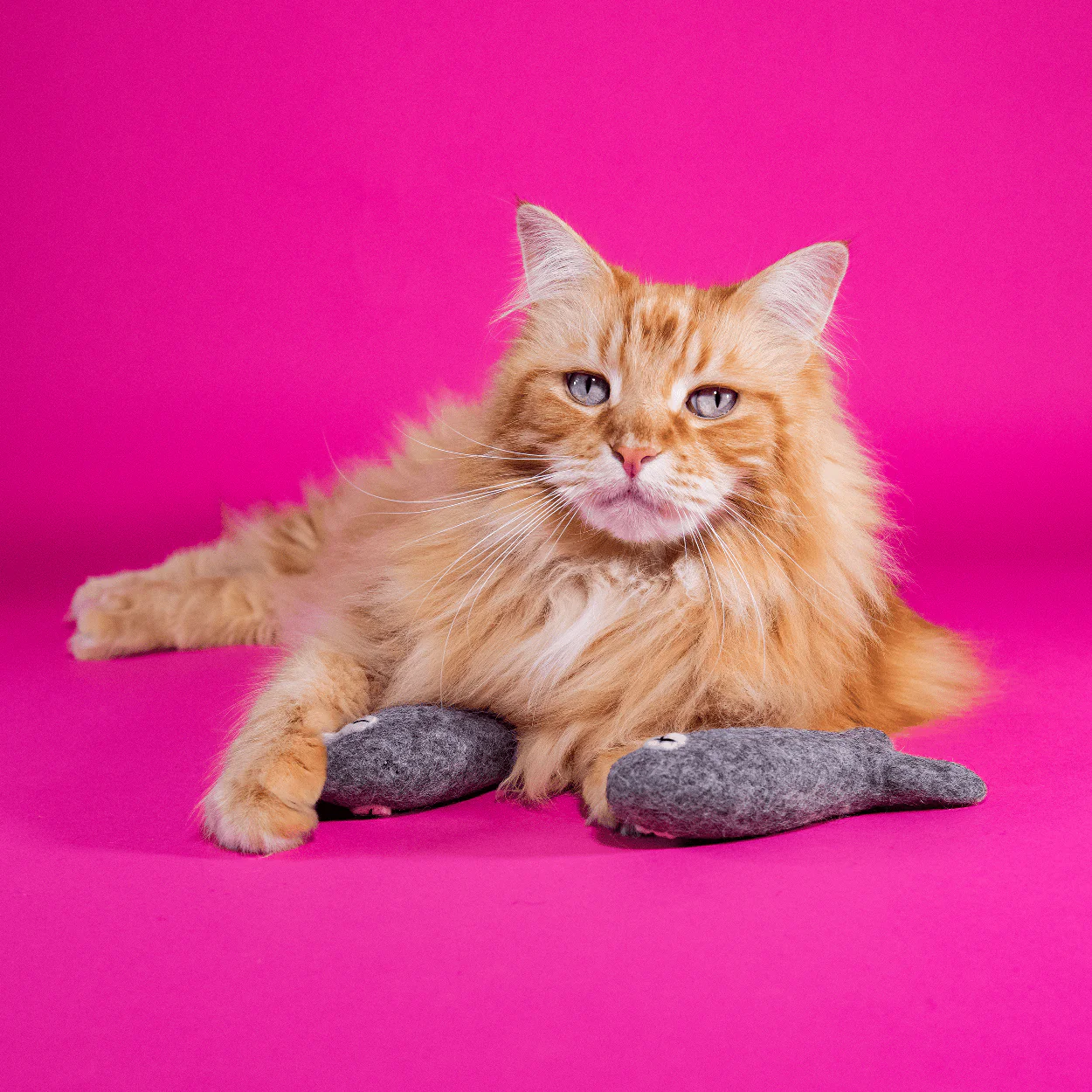 Mimis Daughters Mimis Daughters Felix the Fish 20 cm