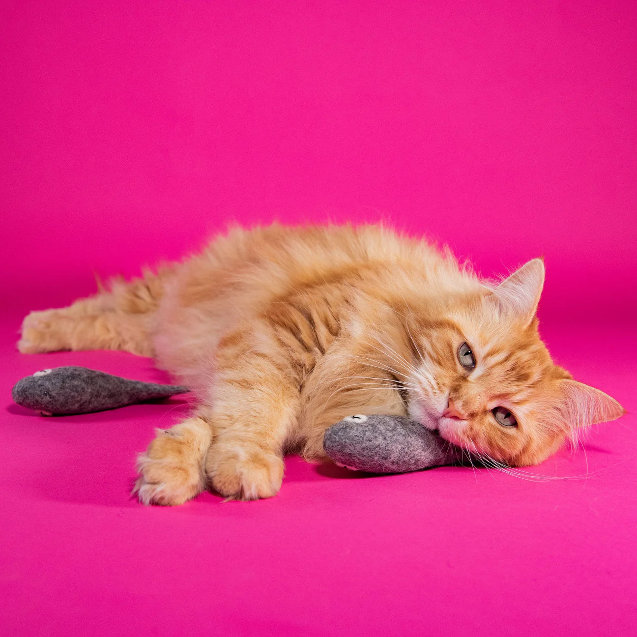 Mimis Daughters Mimis Daughters Felix the Fish 20 cm