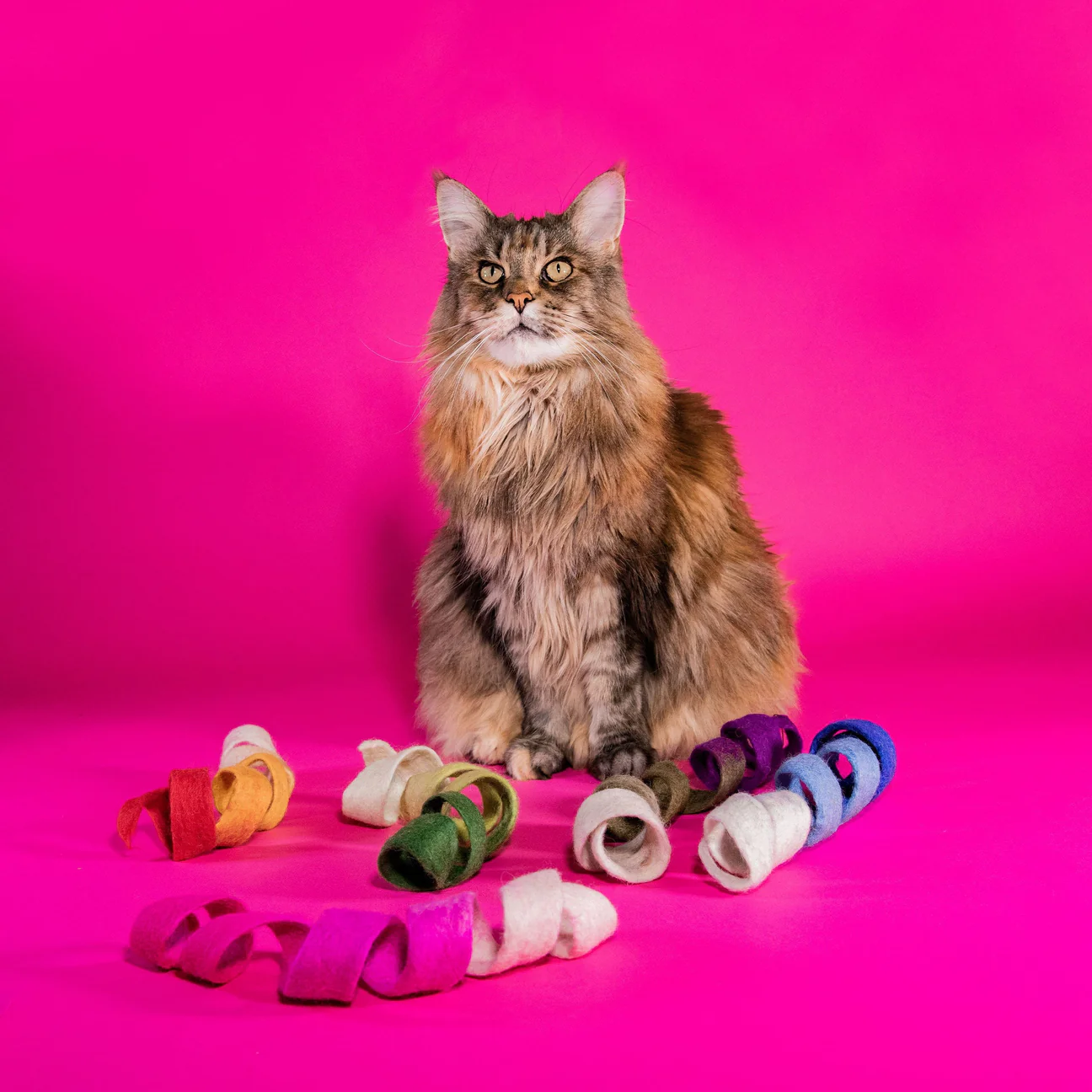 Mimis Daughters Mimis Daughters Spinny Spiral - green