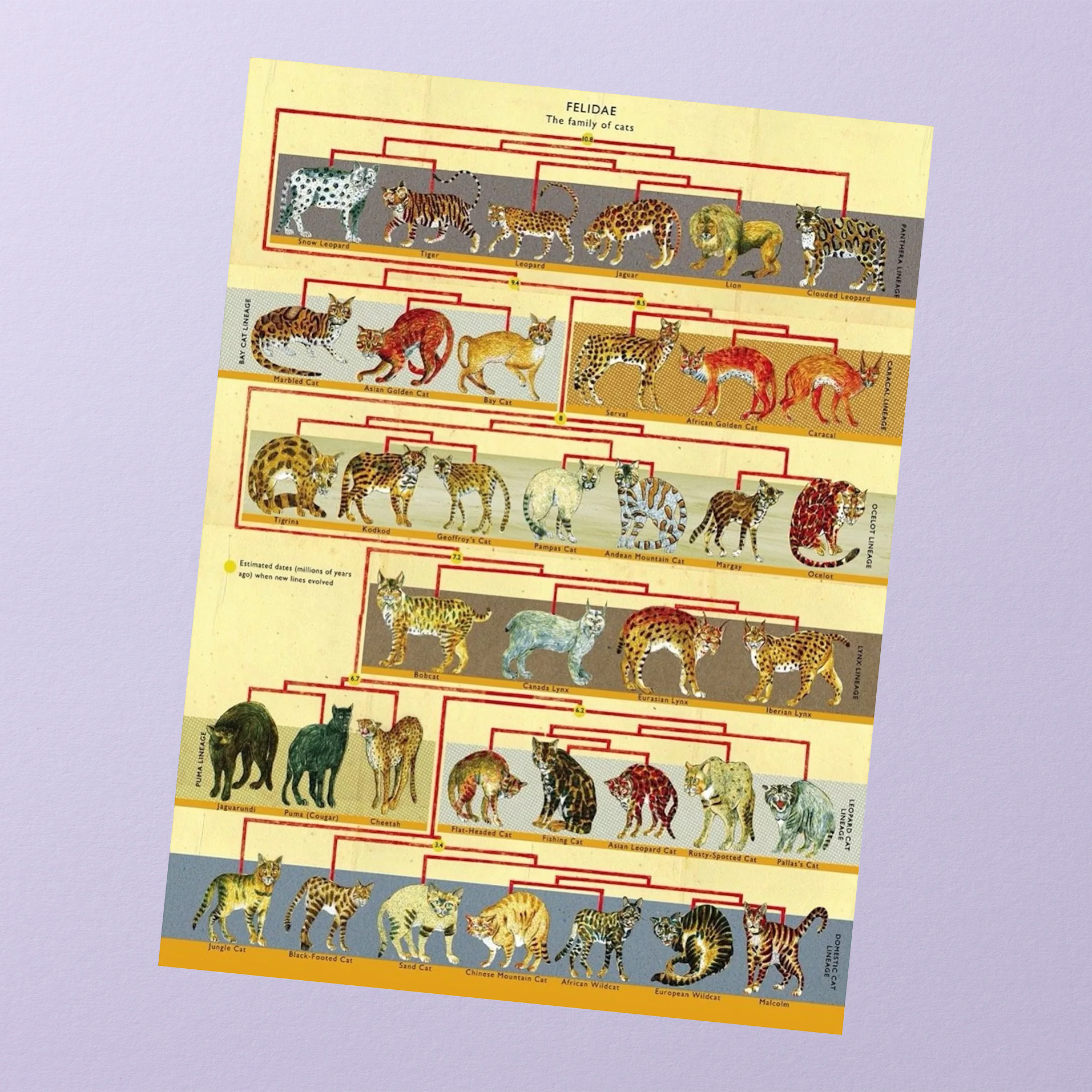 Feline Family Tree - 500 pieces