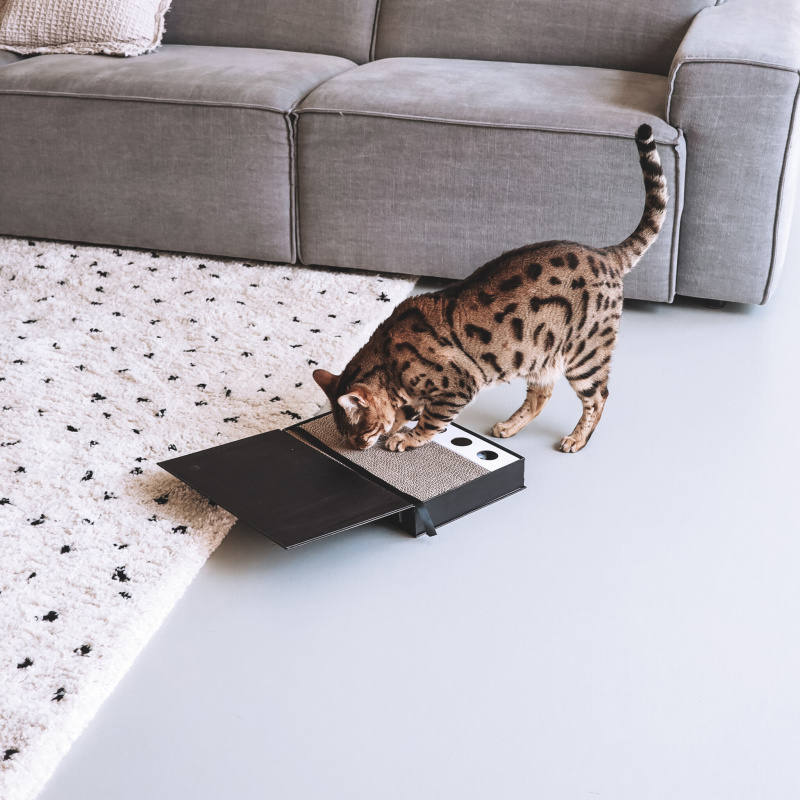 District 70 District 70 - Caterior krabspeelgoed - 36 x 25 x 6 cm