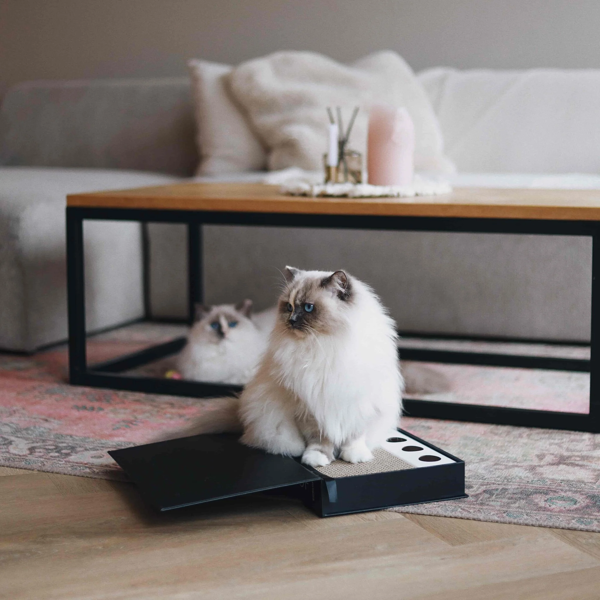 District 70 District 70 - Caterior krabspeelgoed - 36 x 25 x 6 cm