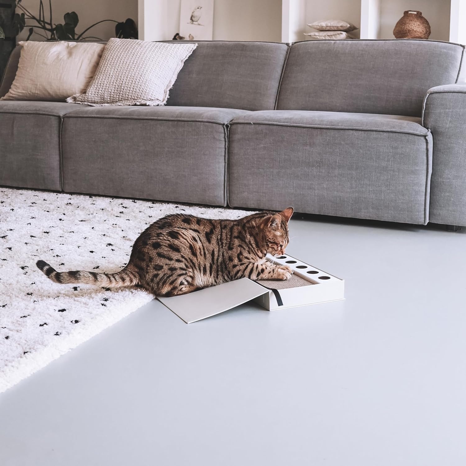 District 70 District 70 - Masterpiece krabspeelgoed - 36 x 25 x 6 cm