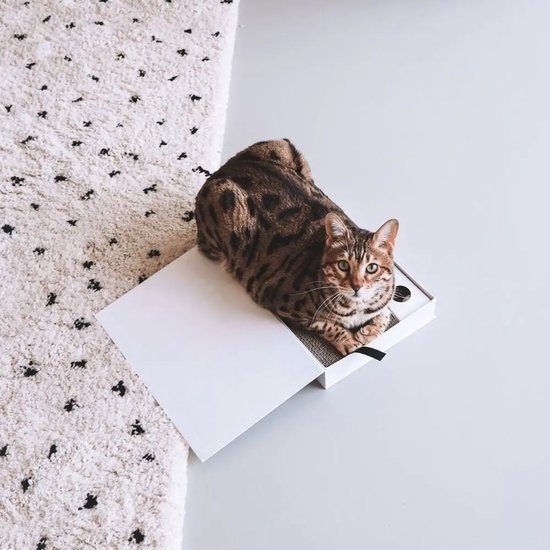 District 70 District 70 - Masterpiece krabspeelgoed - 36 x 25 x 6 cm