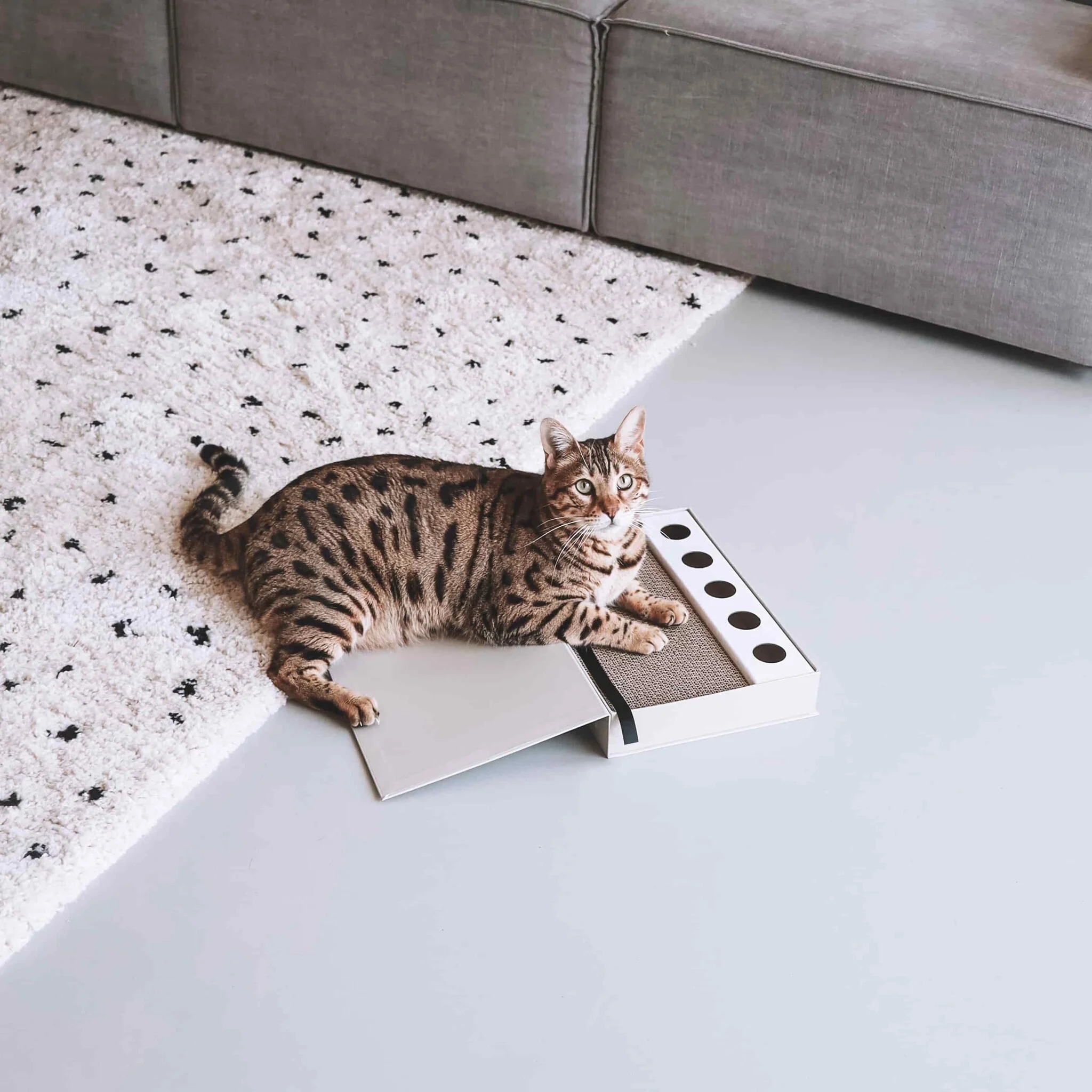 District 70 District 70 - Masterpiece krabspeelgoed - 36 x 25 x 6 cm