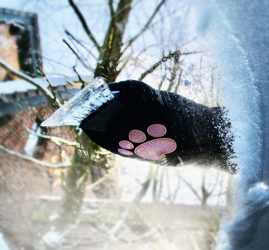 Ed the Cat Ed the Cat ijskrabber handschoen