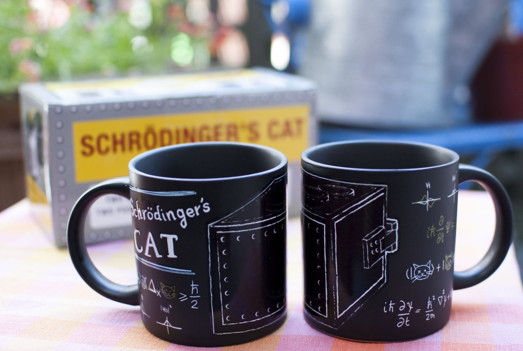 UPG Schrödinger's Cat mokken: welke kat leeft?