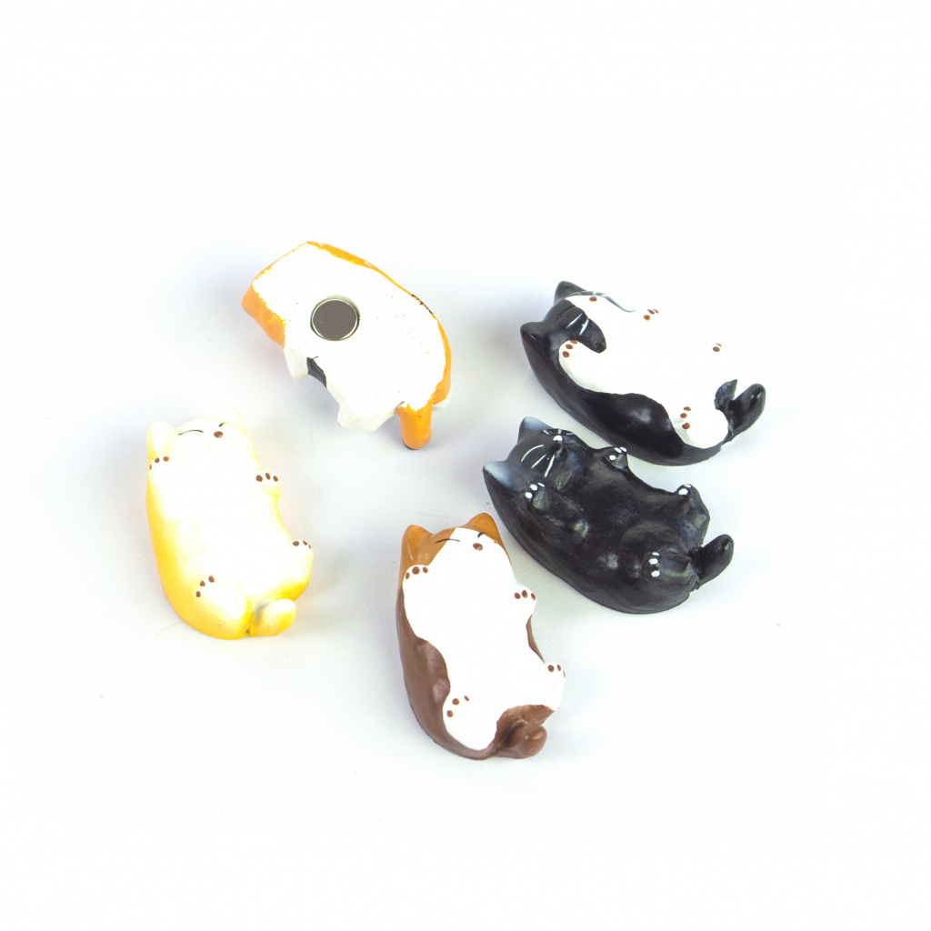 Trendform Vijf schattige katten magneten