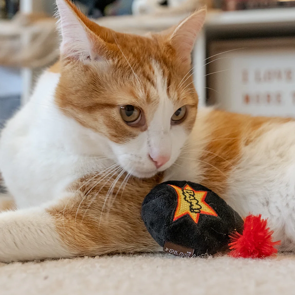 P.L.A.Y. Feline Frenzy Feline Frenzy - Killer Cat Toy Kitty-BOOM