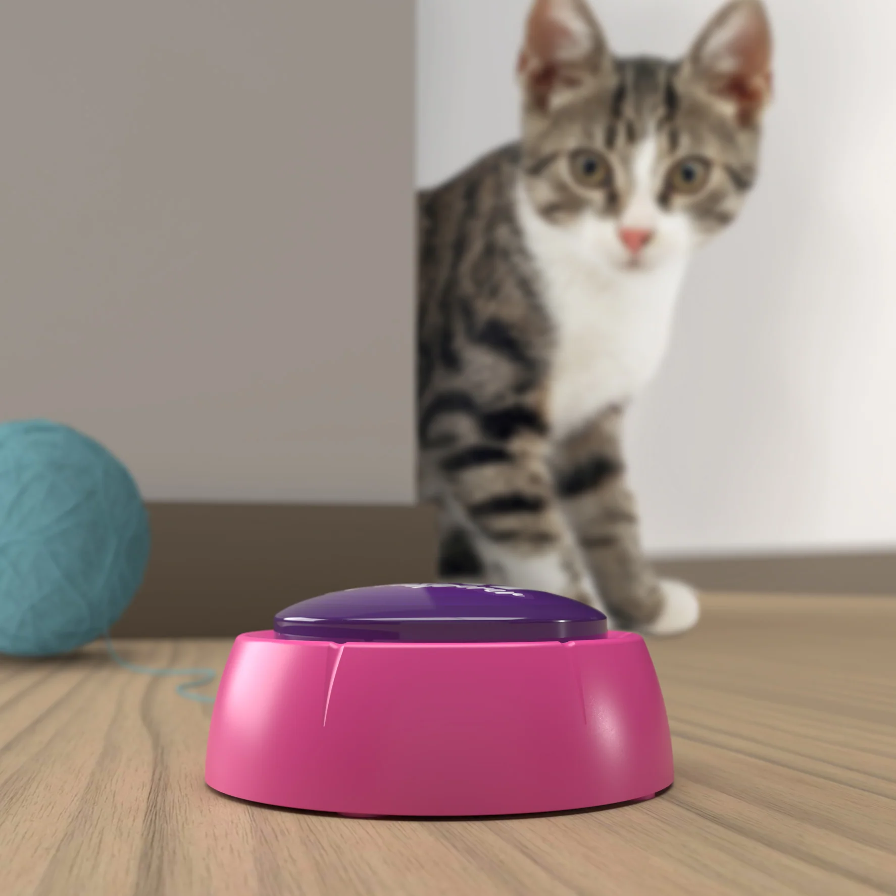 Sound button met katten geluiden