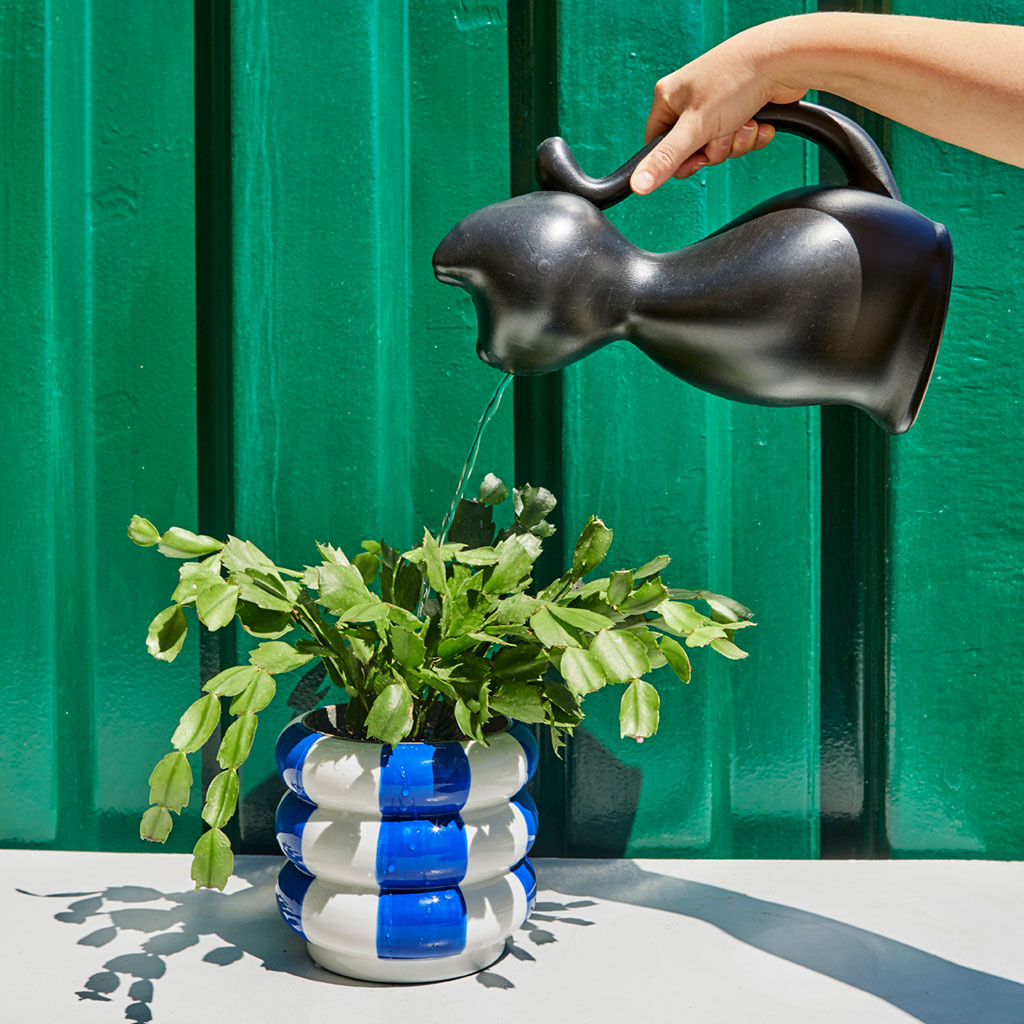 Balvi Zwarte katten gieter - kunsstof