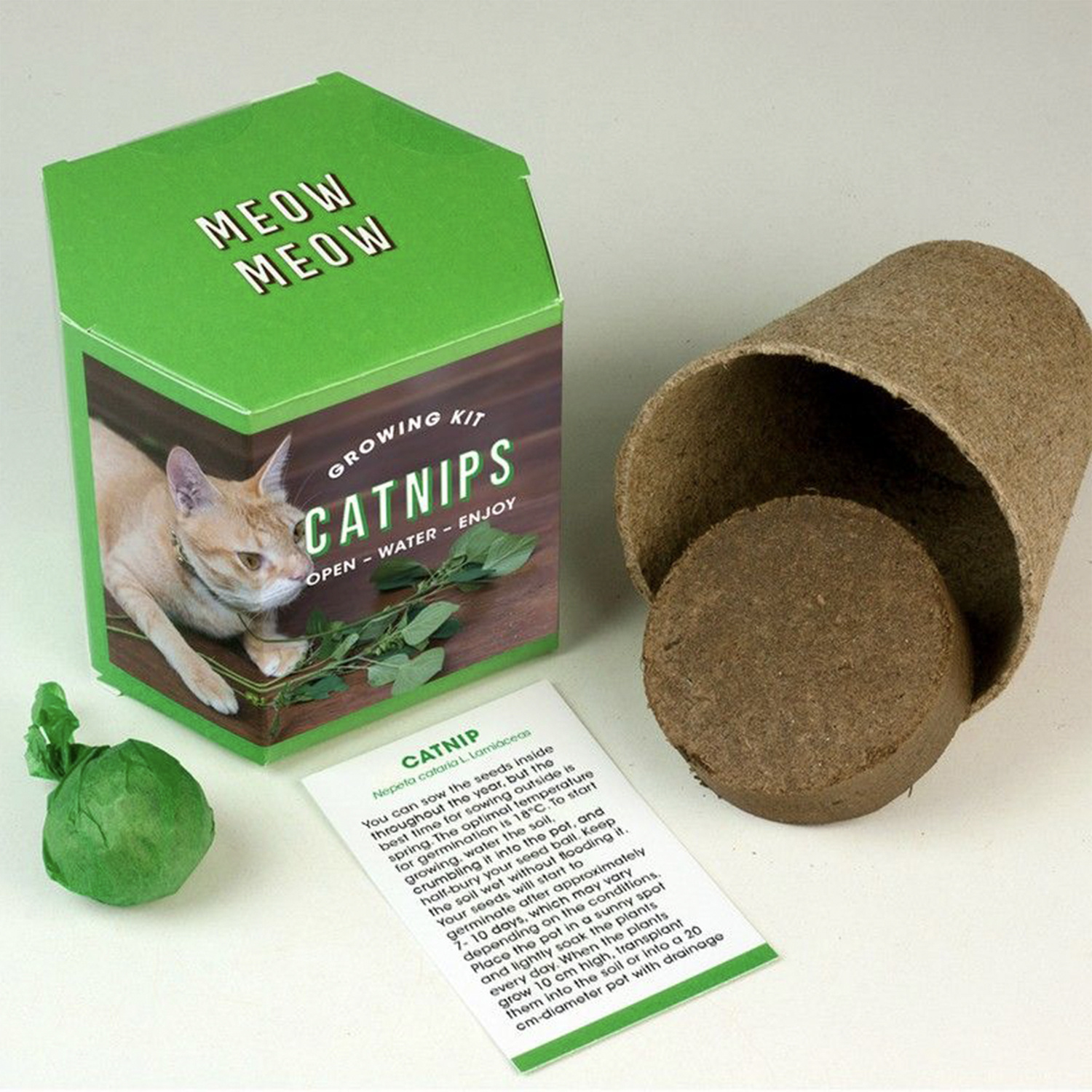 Catnips Growing Kit