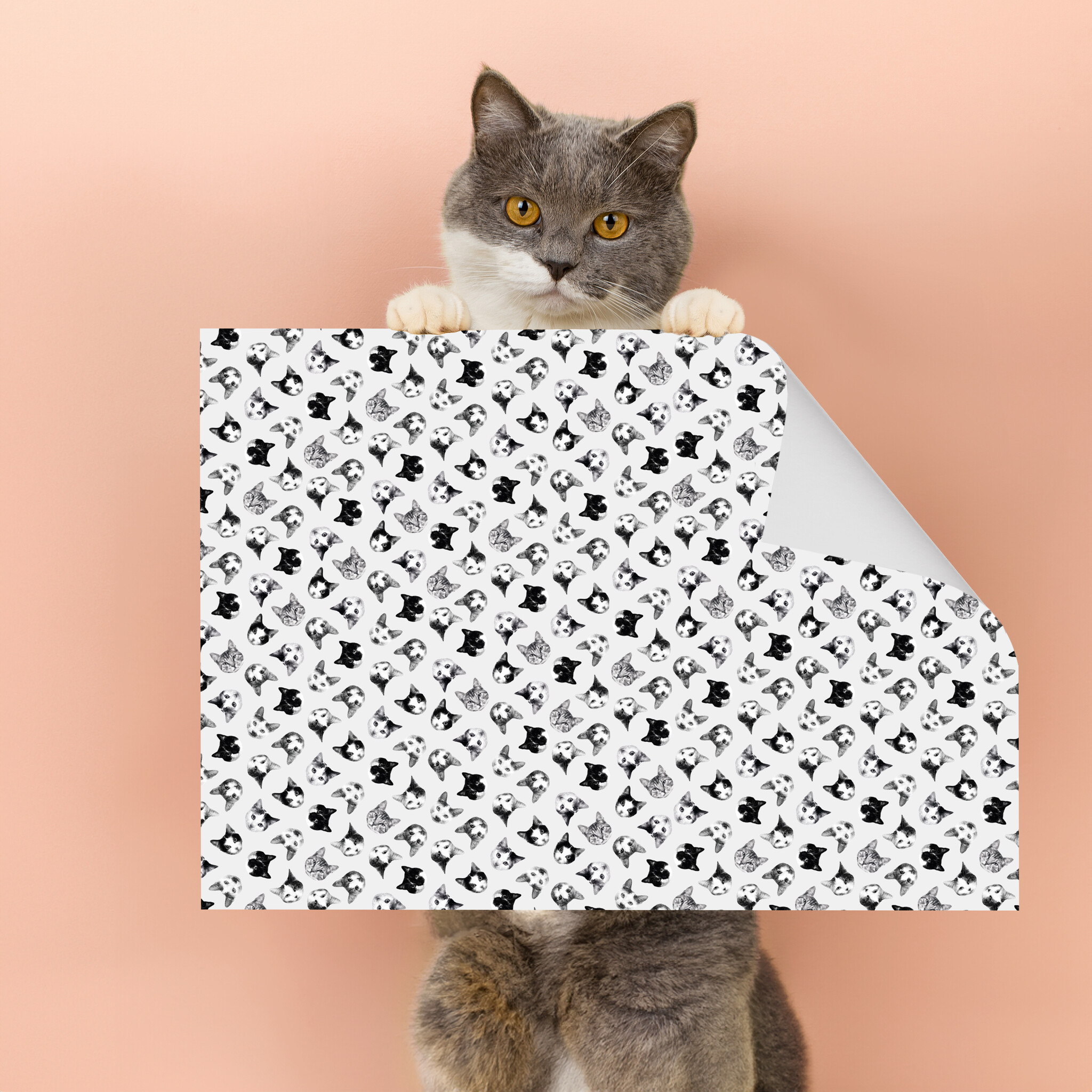 Kat & Black & white cats inpakpapier - 5 vellen van 50x70 cm