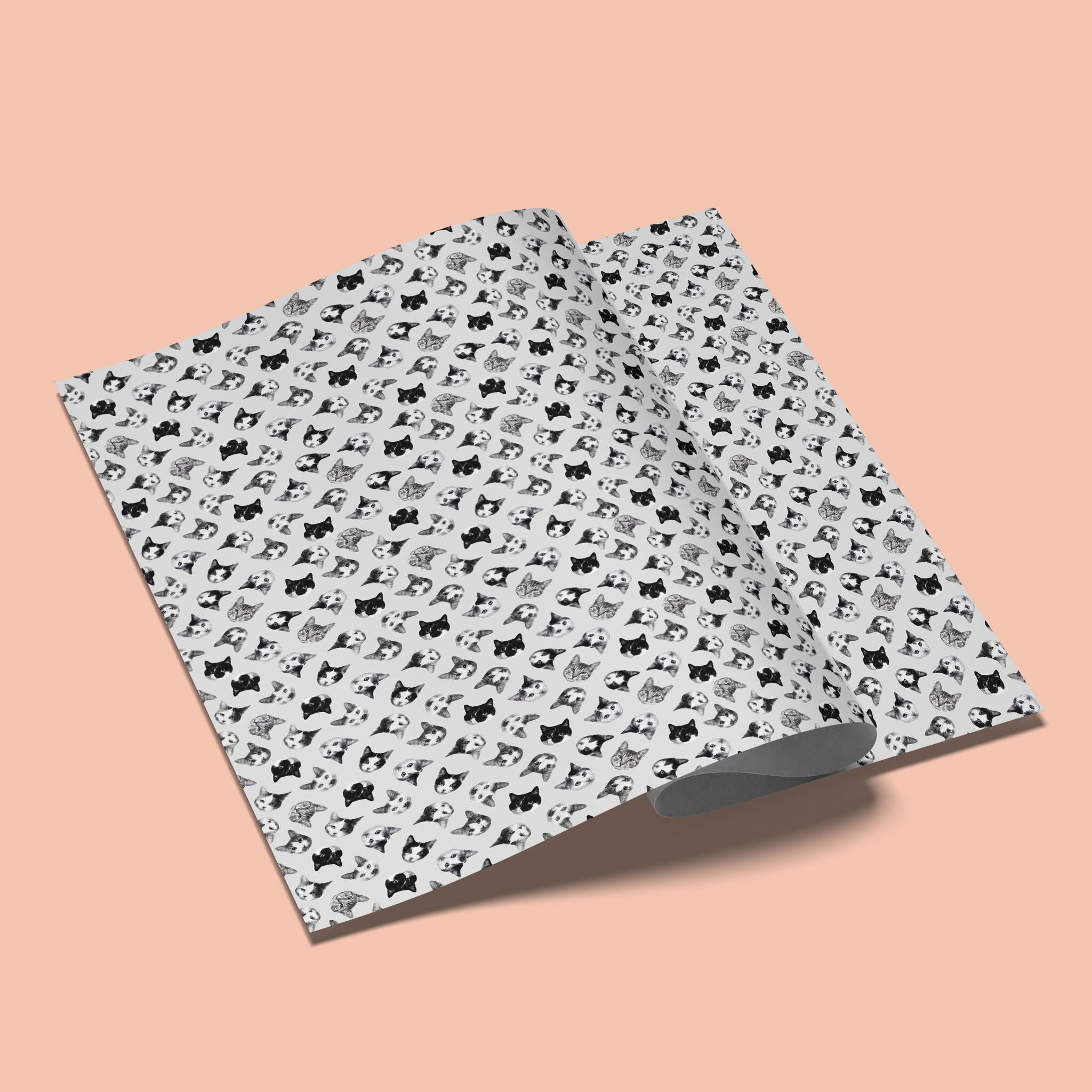 Kat & Black & white cats inpakpapier - 5 vellen van 50x70 cm