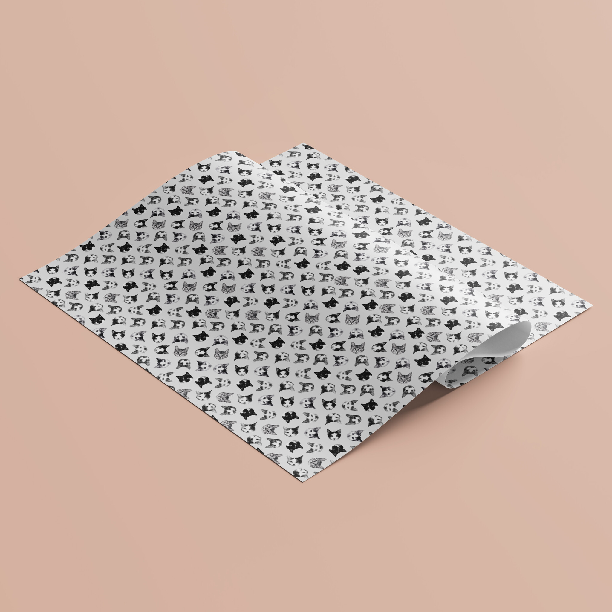 Kat & Black & white cats inpakpapier - 5 vellen van 50x70 cm