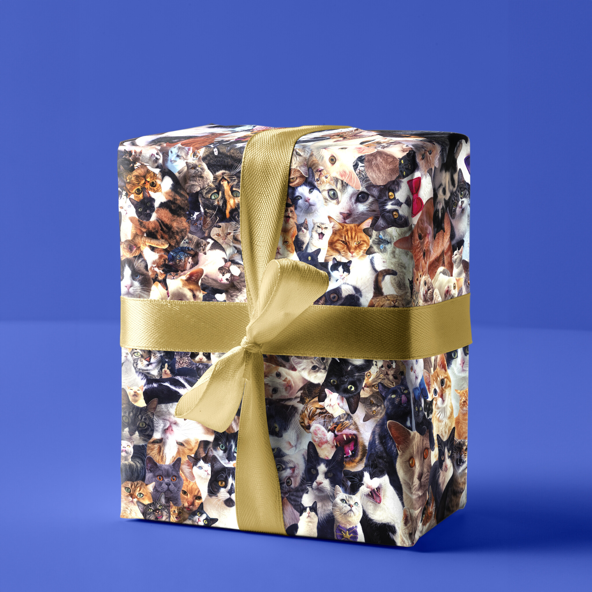 Kat & Crazy cats inpakpapier - 5 vellen van 50x70 cm