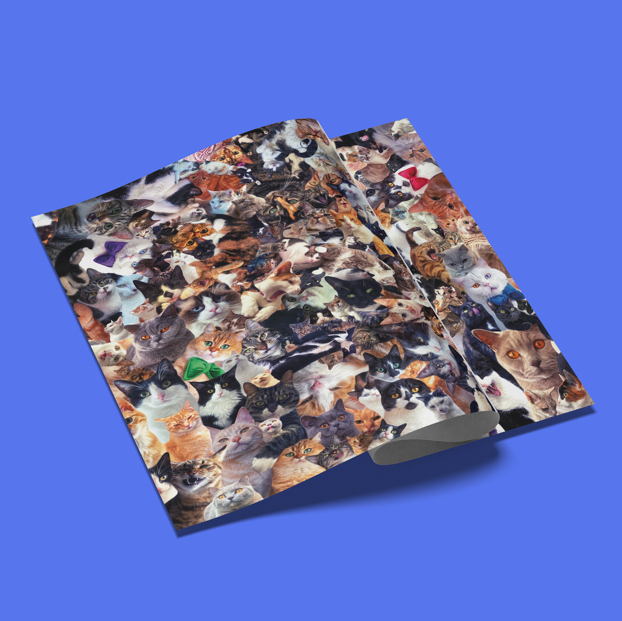 Kat & Crazy cats inpakpapier - 5 vellen van 50x70 cm