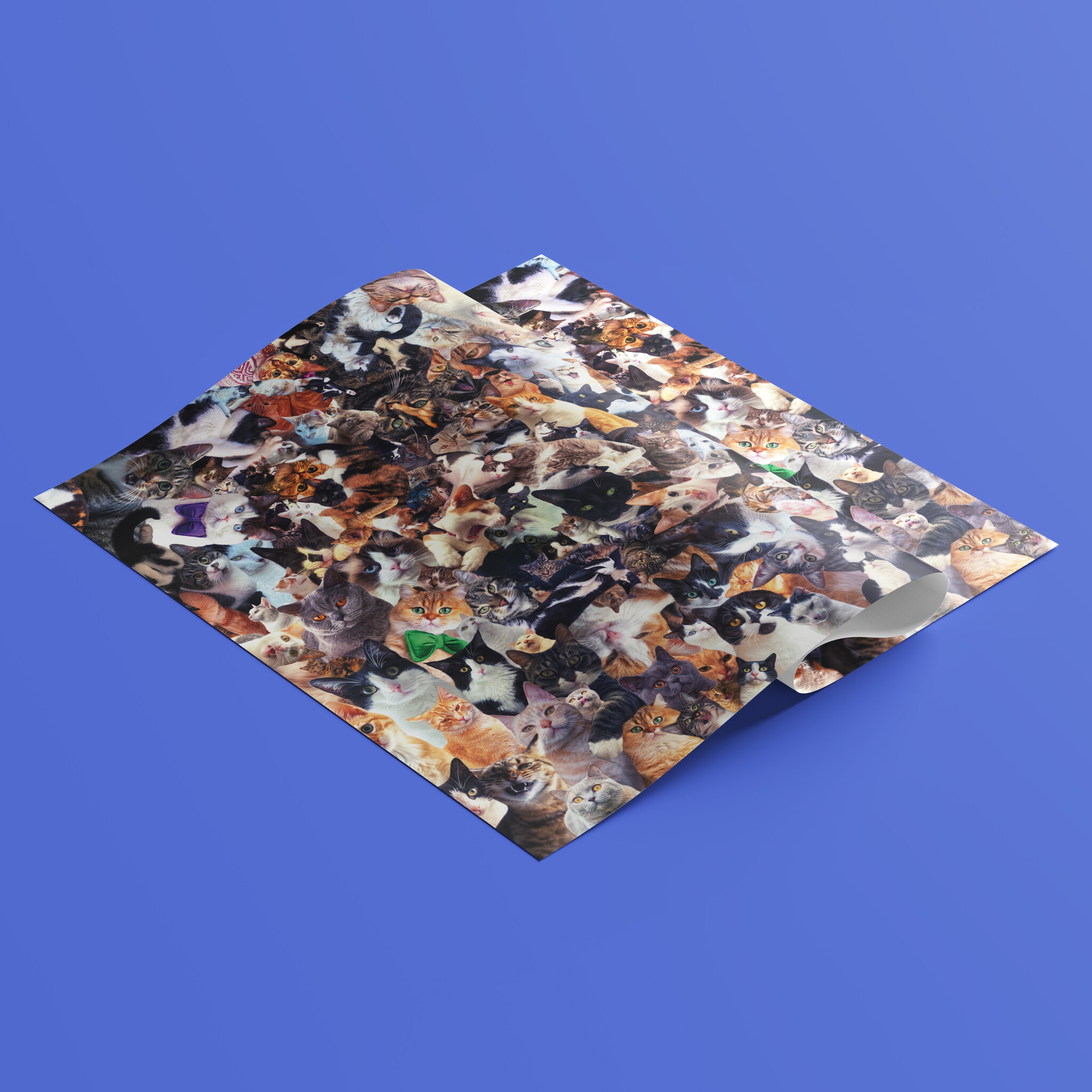 Kat & Crazy cats inpakpapier - 5 vellen van 50x70 cm