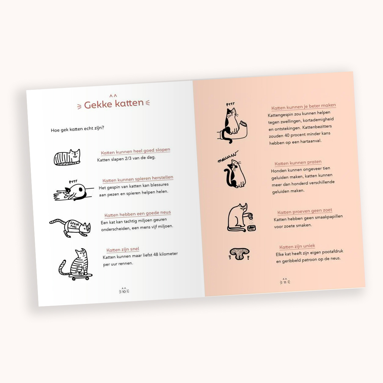 Poezen – Handleiding voor bazen