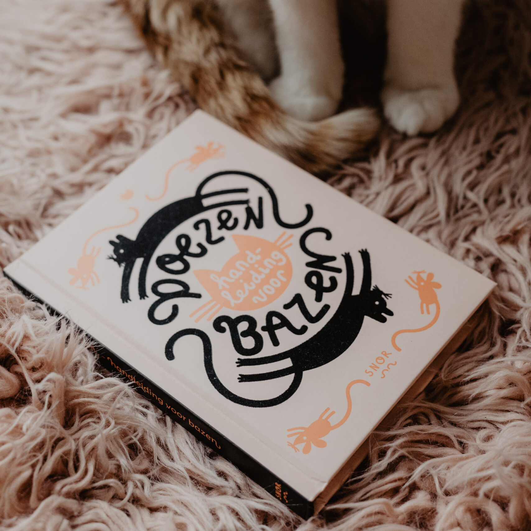 Poezen – Handleiding voor bazen