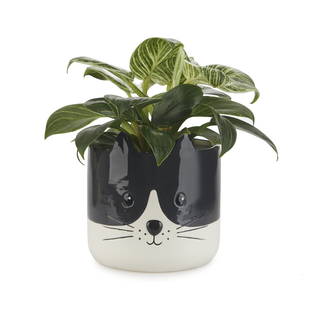 Balvi Plant Pot Kitty
