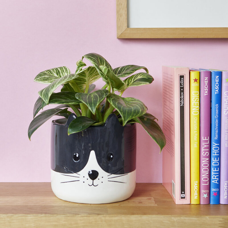 Balvi Plant Pot Kitty