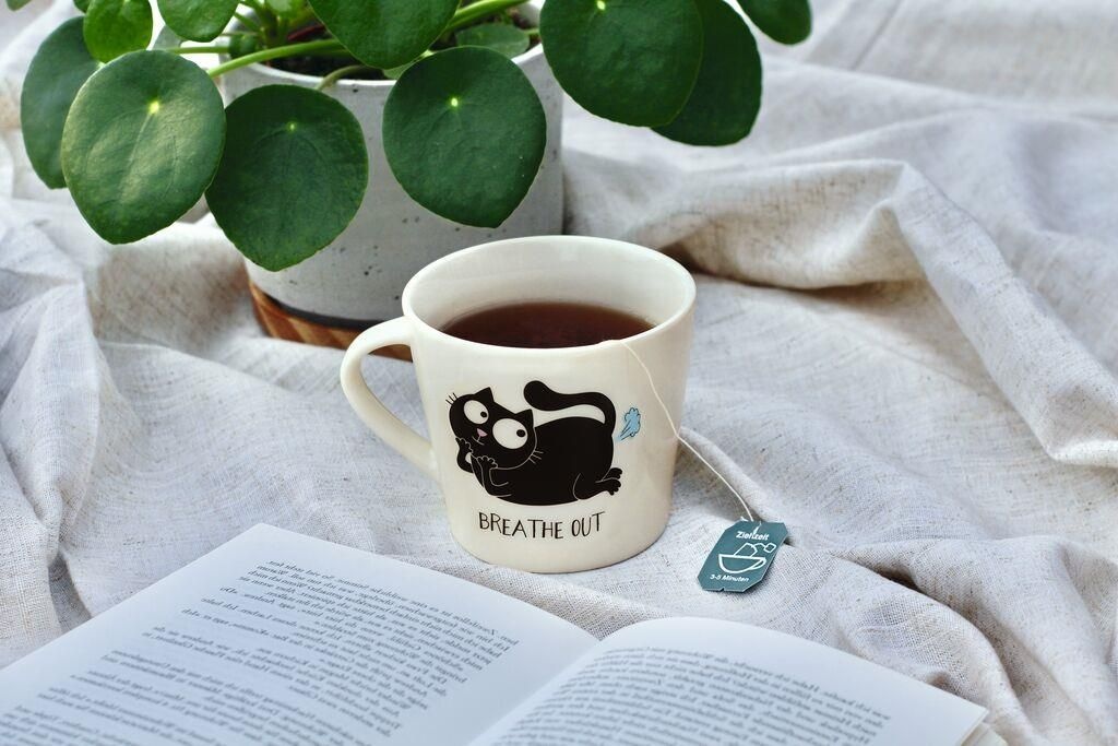 Ed the Cat Ed the cat mok yoga