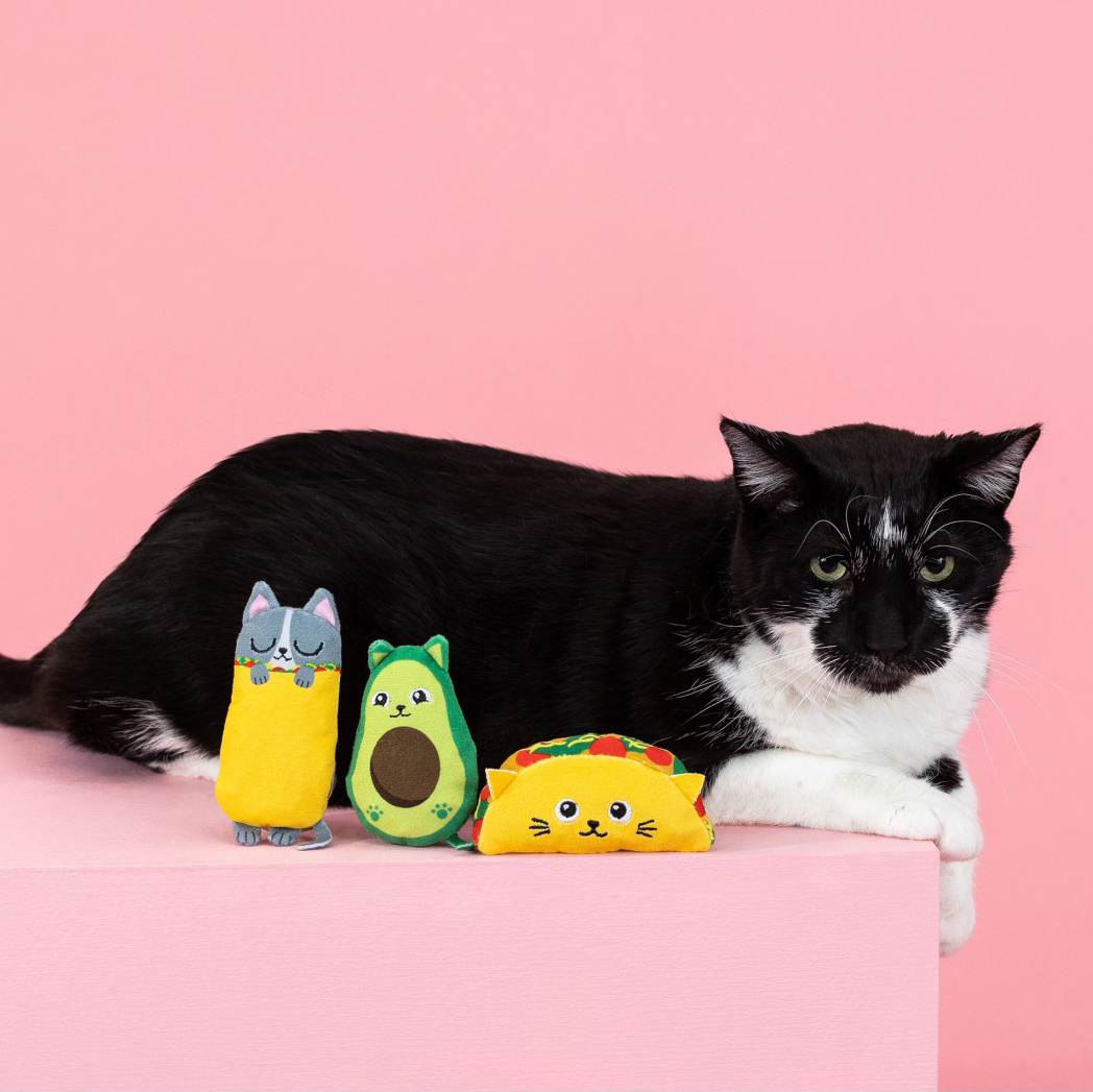 Fringe Fringe - set Kitty cravings