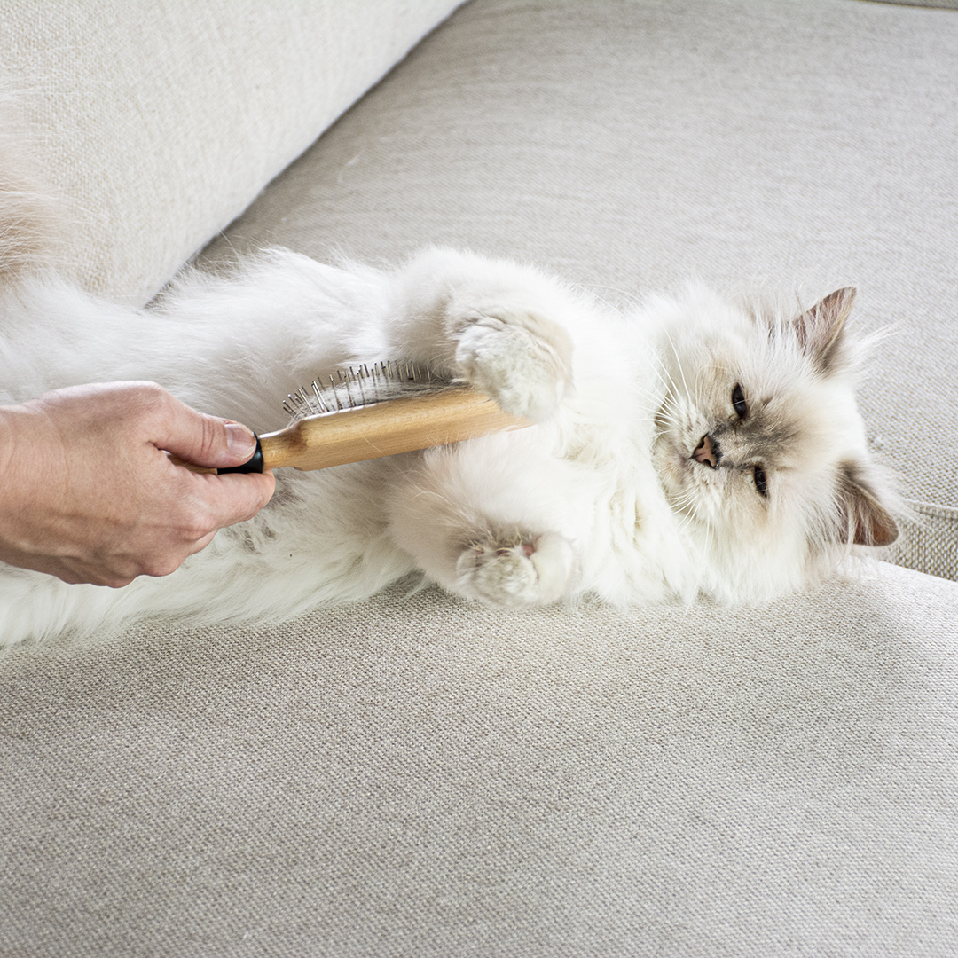 D&D home | I Love Happy Cats APRIL - Pinnenborstel Houtkleurig - I Love Happy Cats