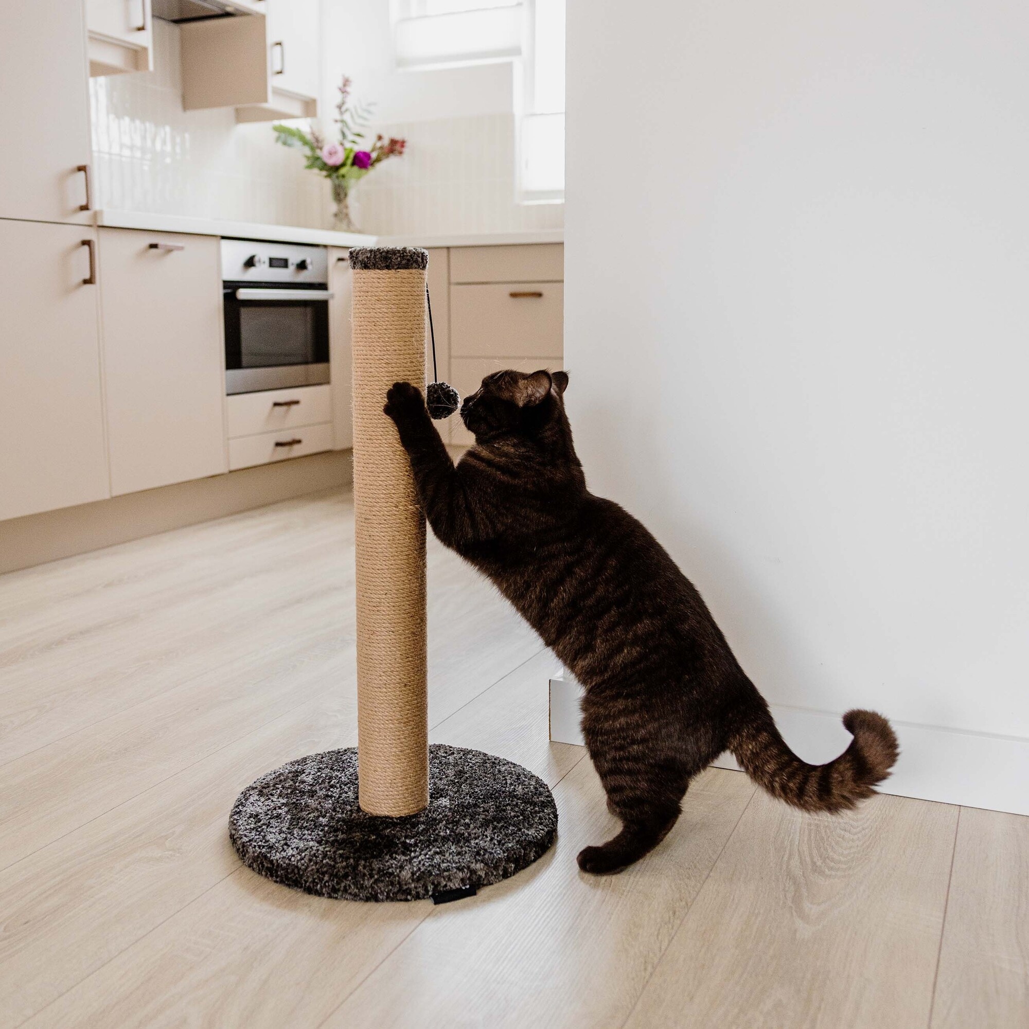 District 70 Krabpaal Donna - 70 cm in twee kleuren