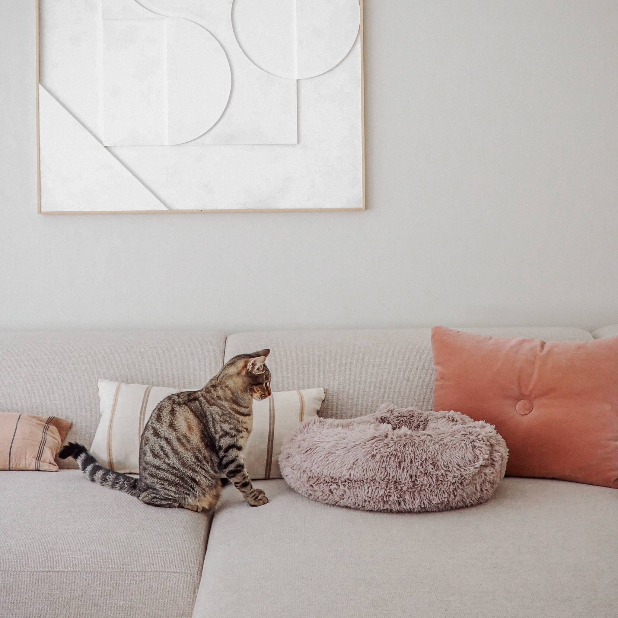 Donut kattenmand met een afritsbare hoes