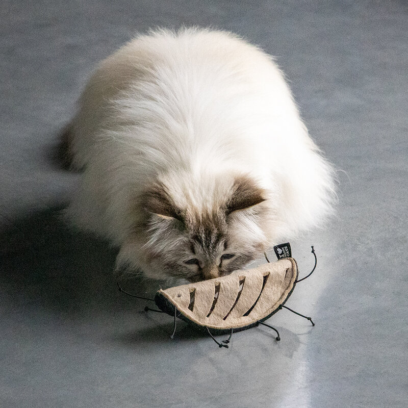 D&D home | I Love Happy Cats Snackspeeltje  I Love Happy Cats