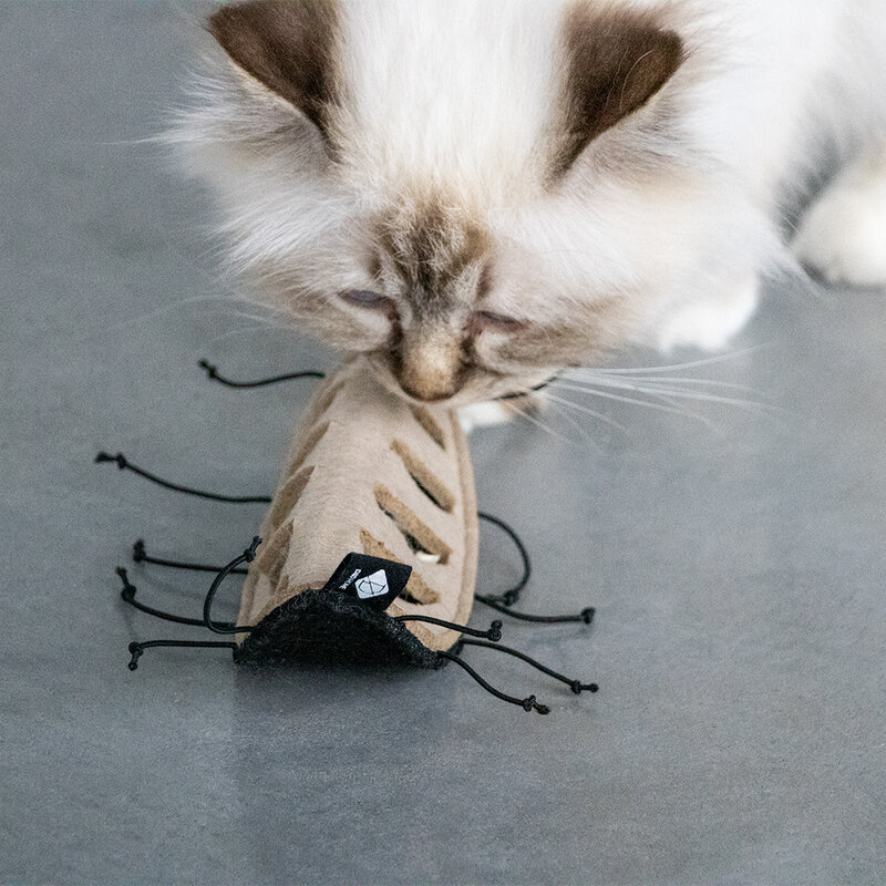 D&D home | I Love Happy Cats Snackspeeltje  I Love Happy Cats