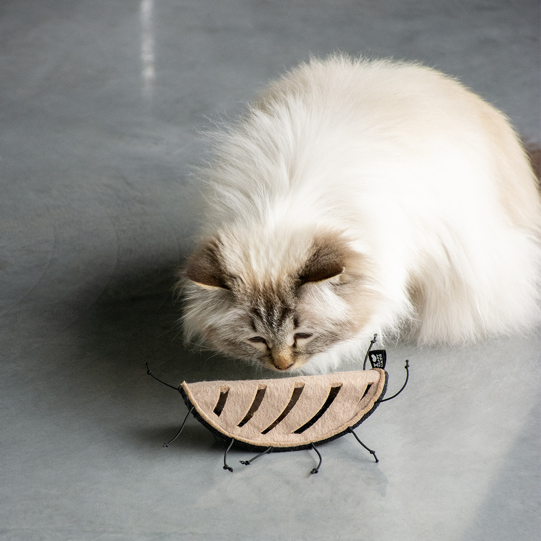 D&D home | I Love Happy Cats Snackspeeltje I Love Happy Cats