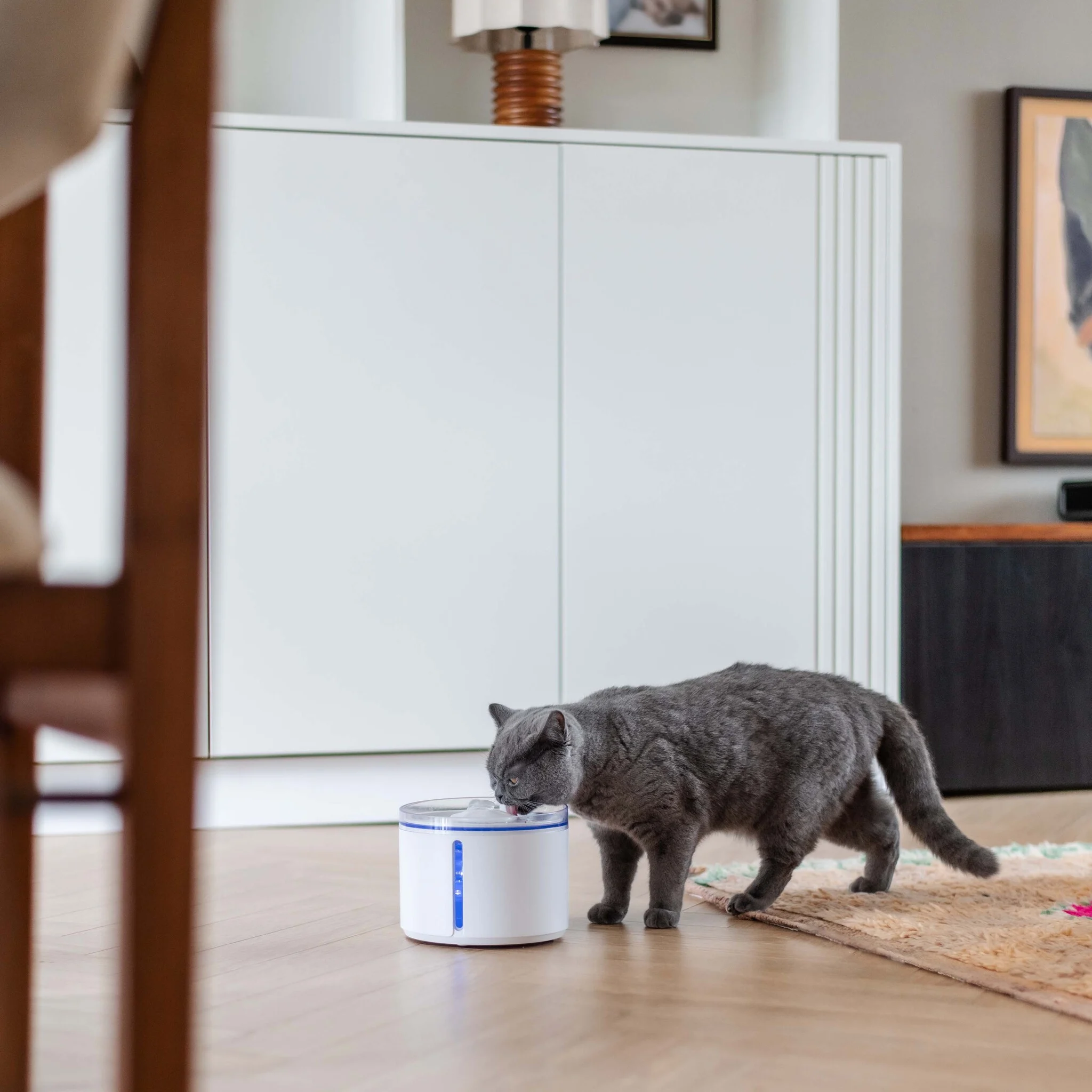 District 70 FLOW Draadloze drinkfontein - Superstil - met bewegingssensor