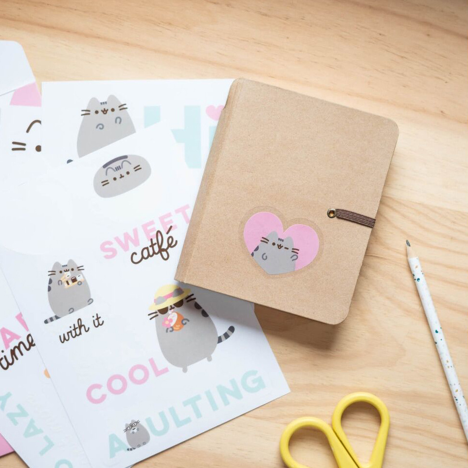 Pusheen Pusheen set met herbruikbare stickers