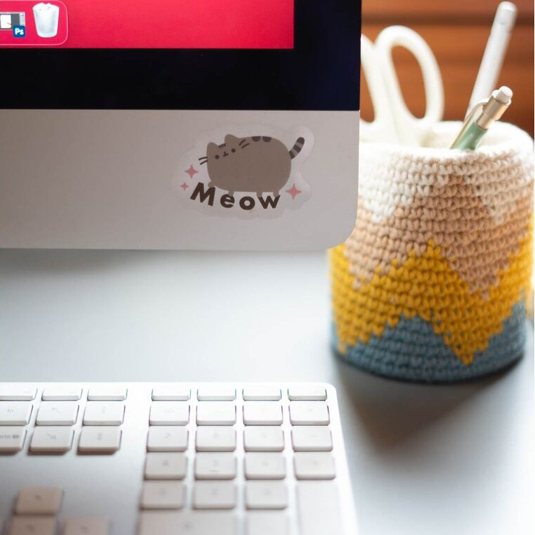 Pusheen Pusheen set met herbruikbare stickers